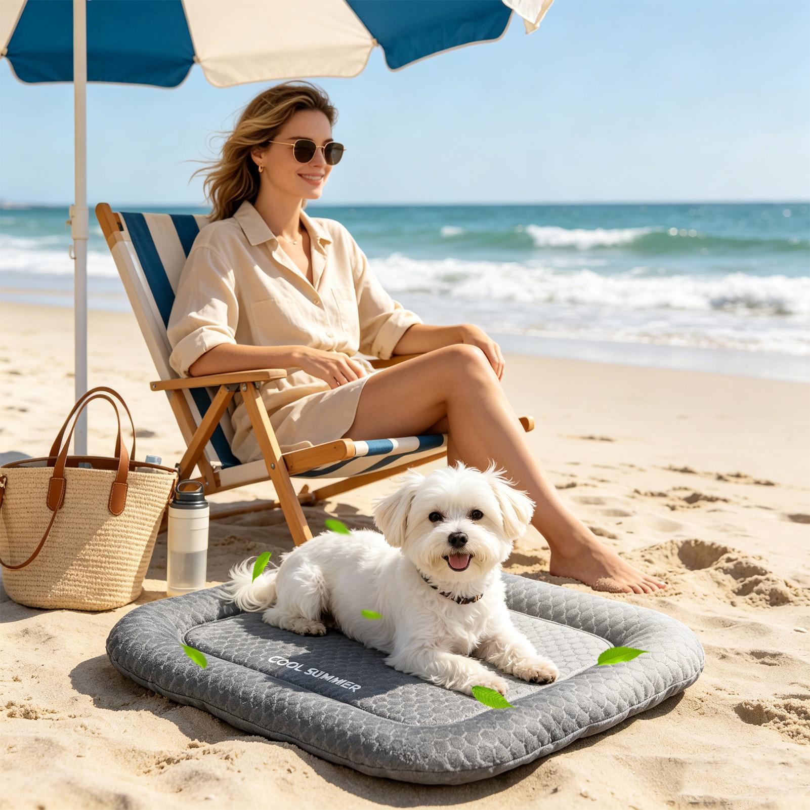 Tragbare, rutschfeste Kühlmatt – Outdoor Camping Dog Kennel Bewertung und Preis